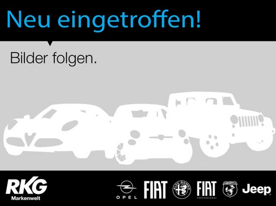  RKG